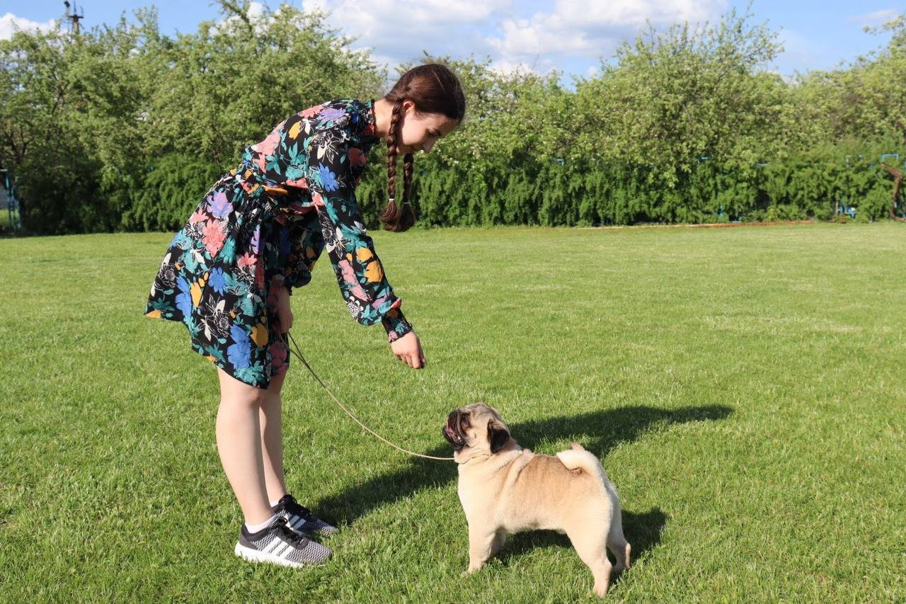 Katy, dierenoppas in Apeldoorn, foto 4