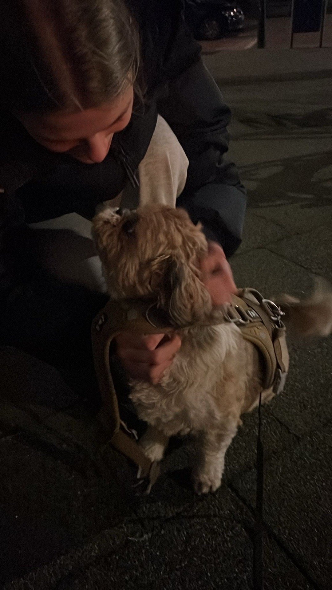 Suus, pet sitter in 's-Gravenhage, photo 1