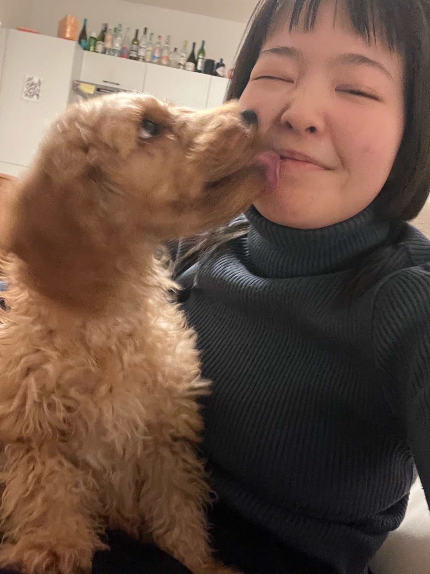 Twan, pet sitter in Amsterdam, photo 5