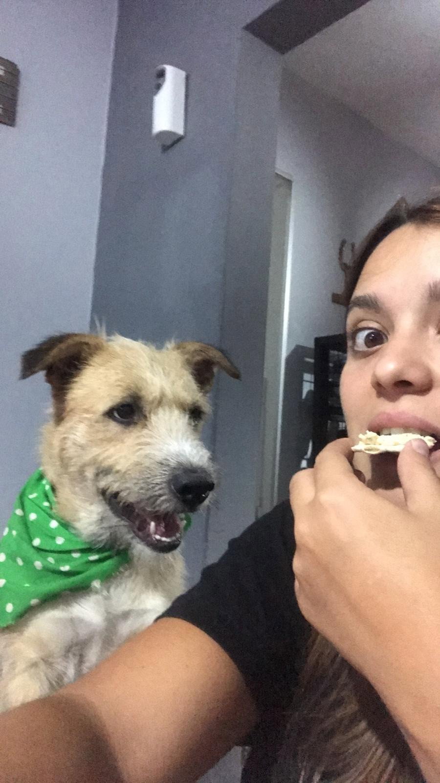 ariana, pet sitter in Berlin, photo 2