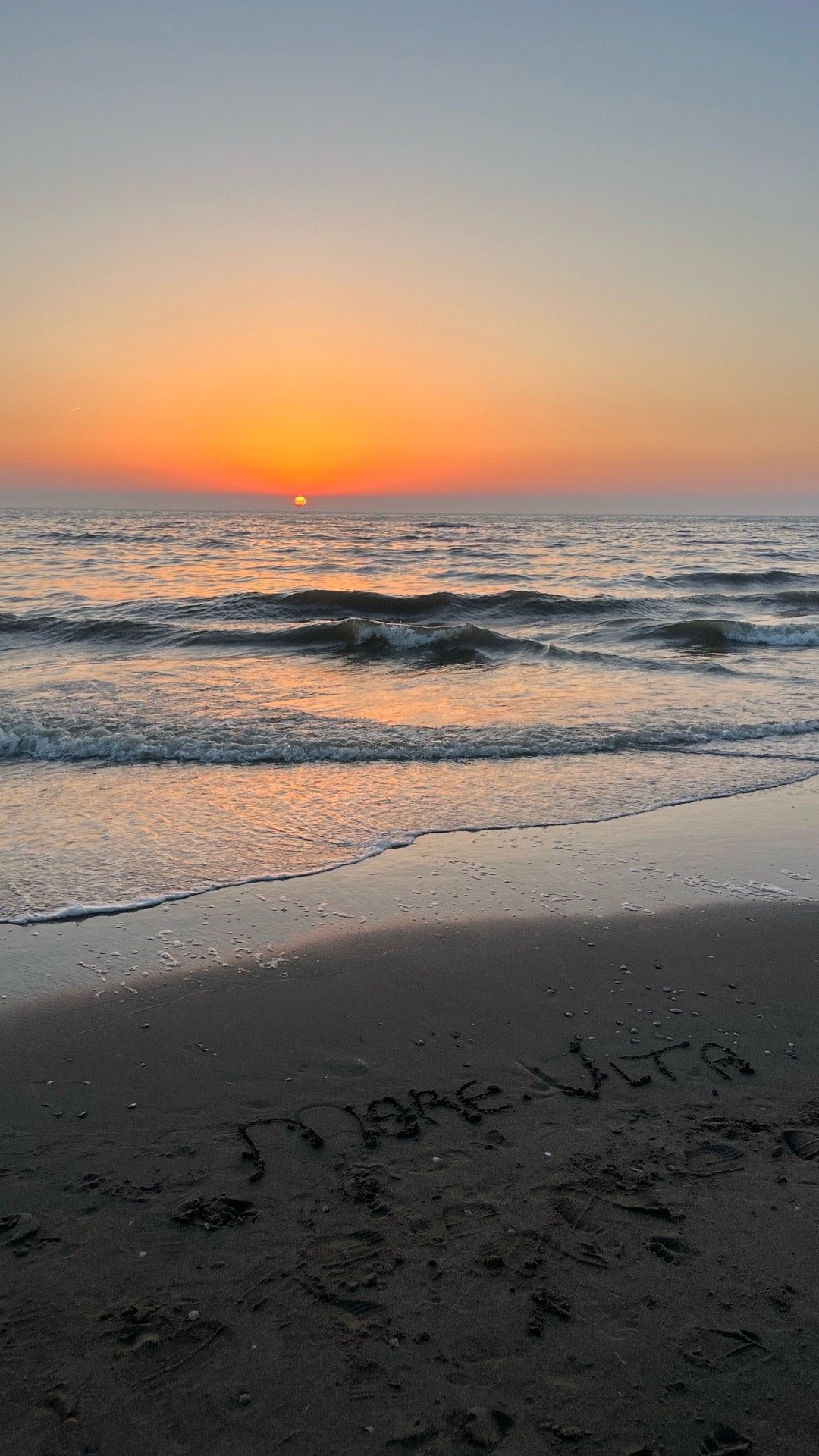 Cindy, pet sitter in Noordwijk, photo 1