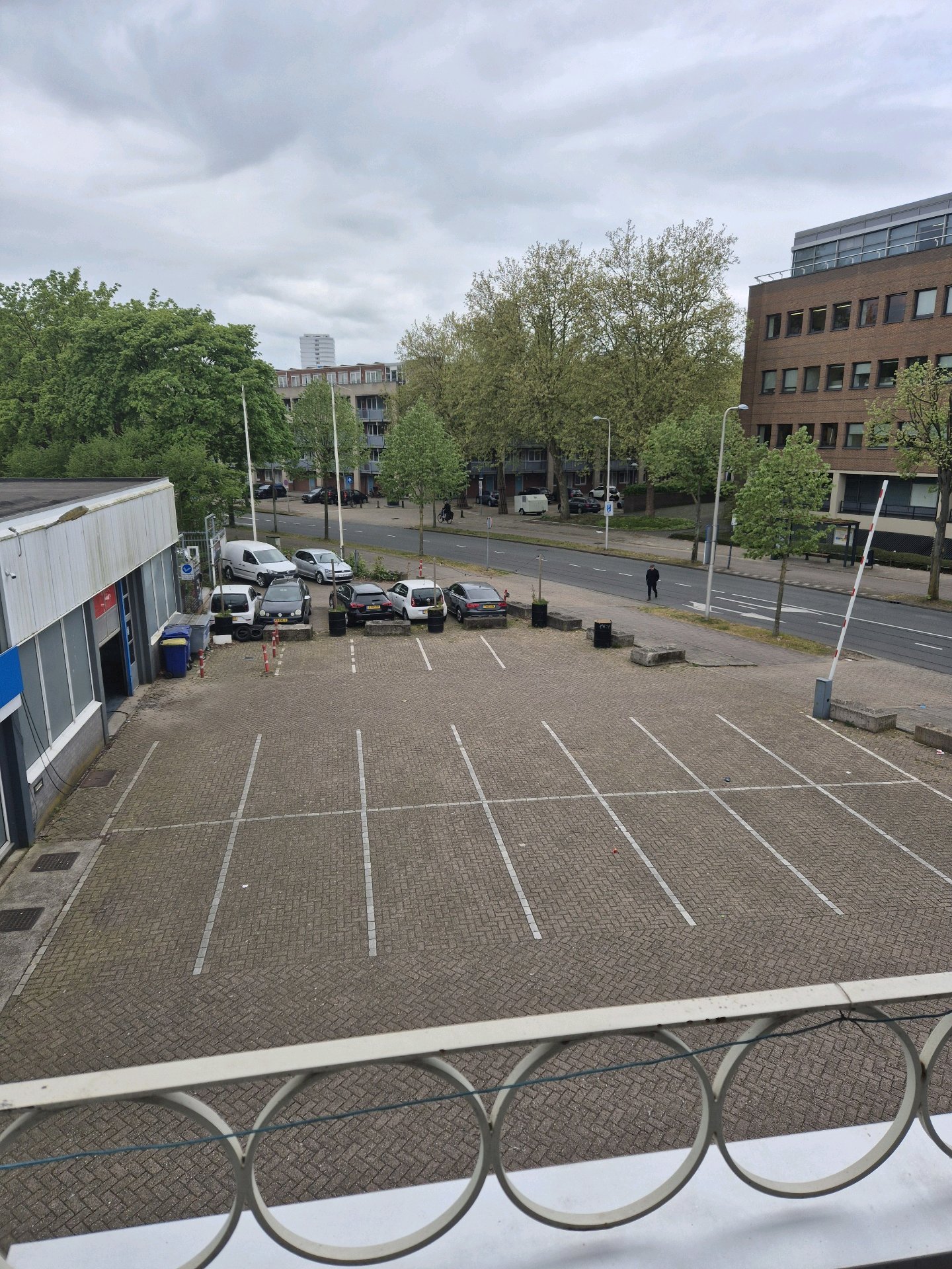 Els, dierenoppas in Utrecht, foto 4