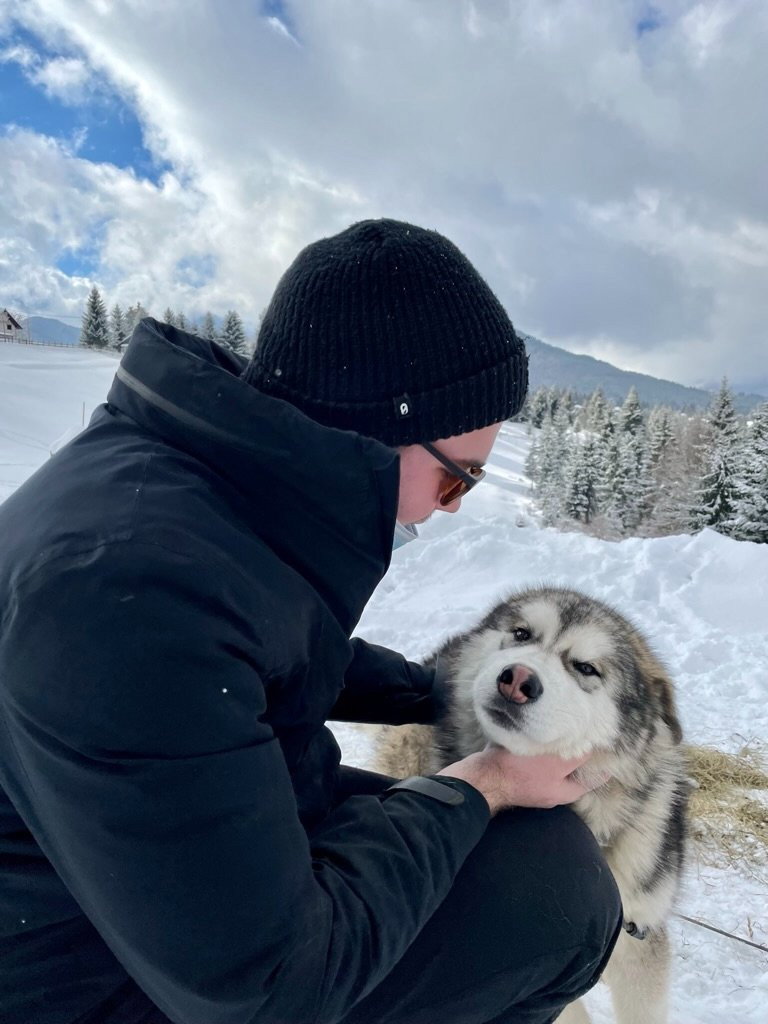 Ionut Bogdan, pet sitter in 's-Gravenhage, photo 1