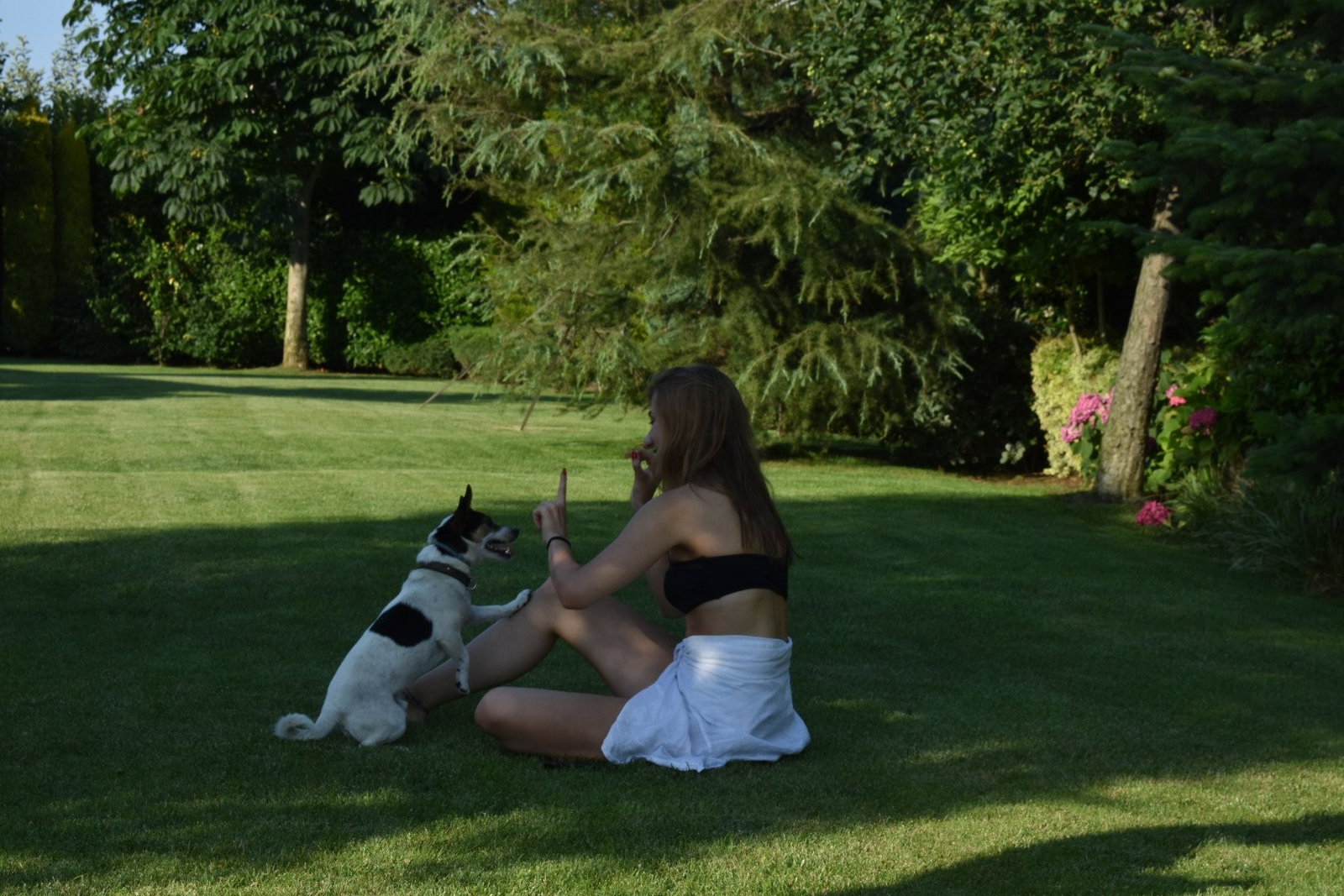 Melis, pet sitter in Amsterdam, photo 2