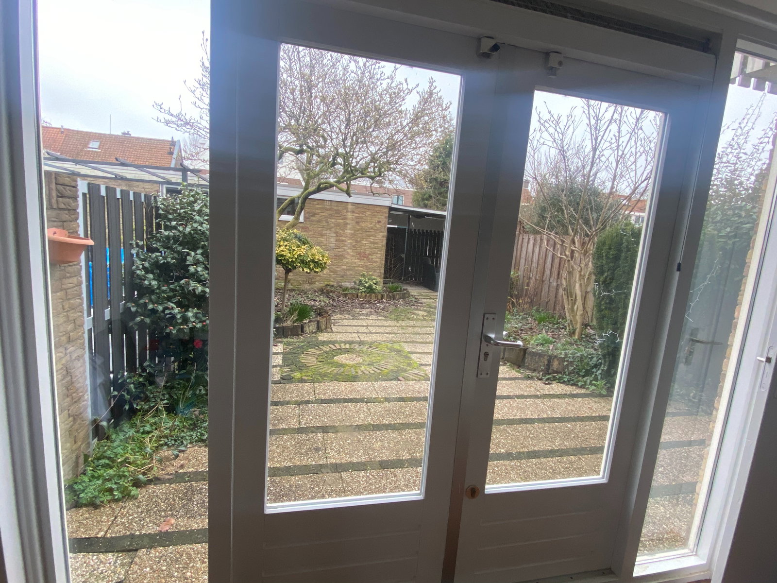Lonia, dierenoppas in Lisse, foto 4