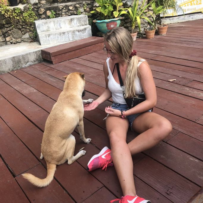 babet, pet sitter in Lemelerveld, photo 1