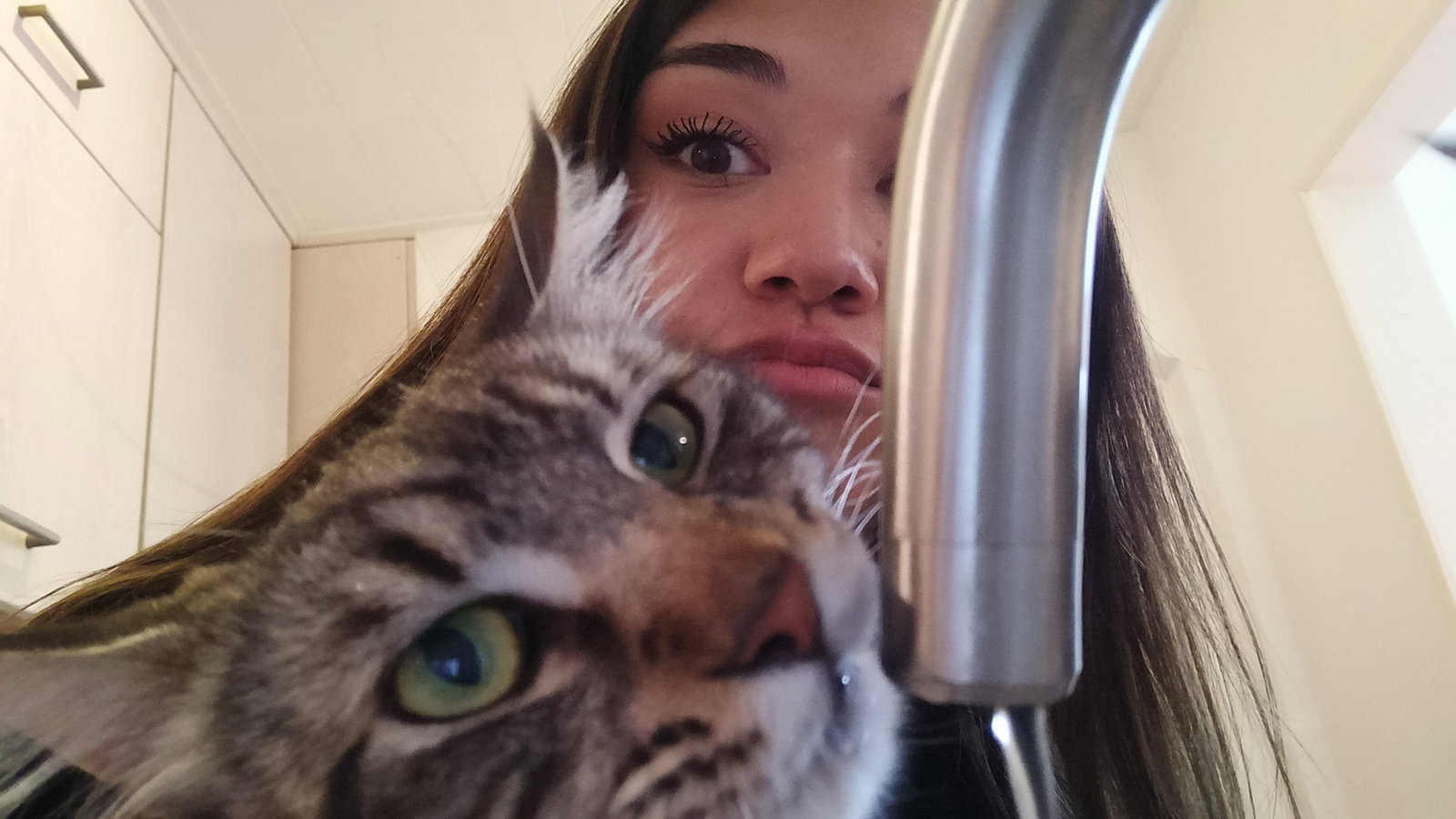 Mila, pet sitter in Leeuwarden, photo 3