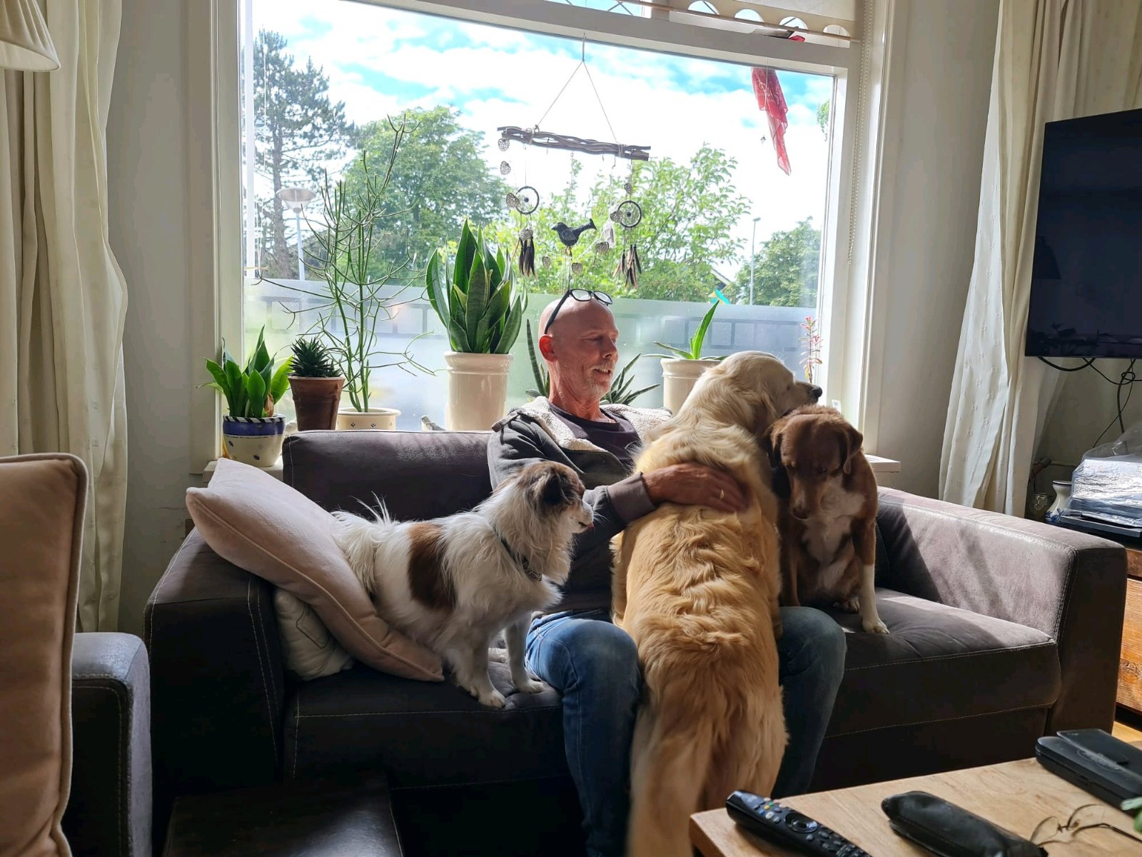 Yoreen, pet sitter in Julianadorp, photo 4