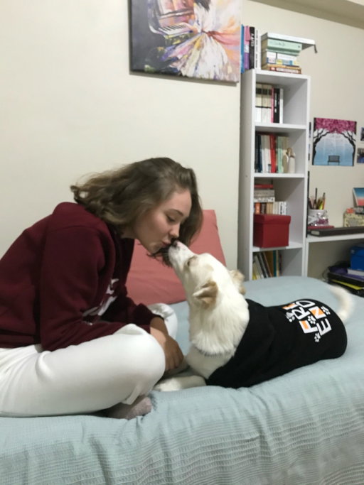Didem, pet sitter in München, photo 2