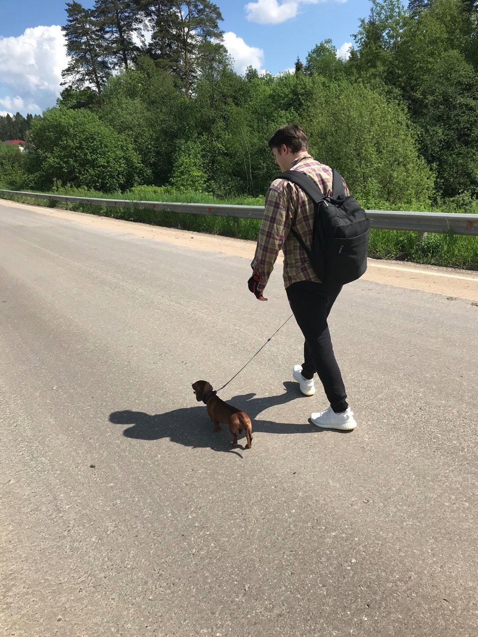 Olesia, pet sitter in Amsterdam, photo 3