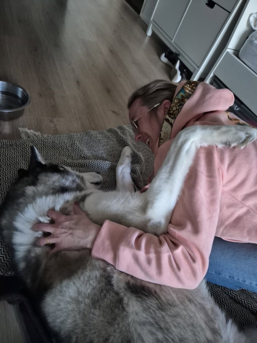 Santino (and Ichelle), pet sitter in Voorburg, photo 4