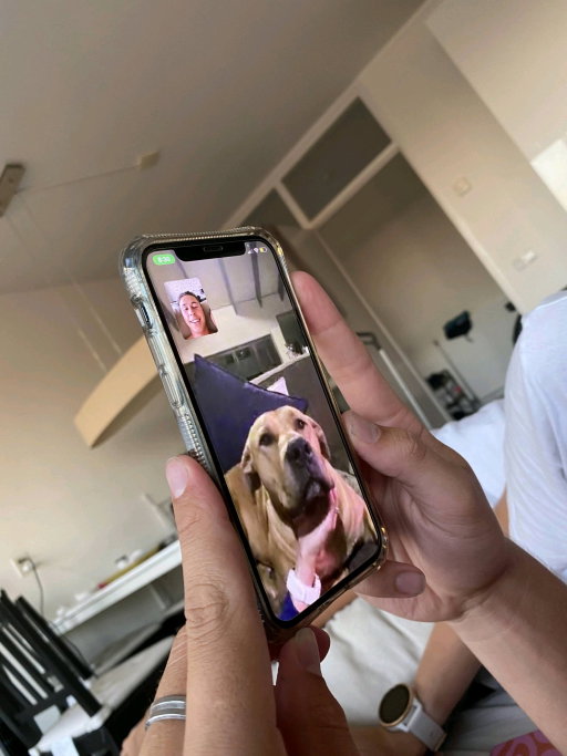 Luke, pet sitter in Rotterdam, photo 4