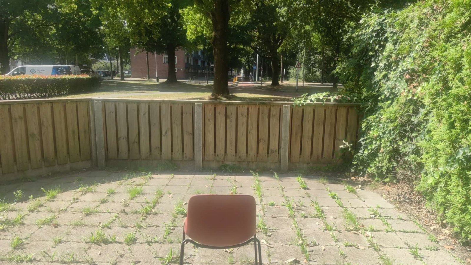 Xiaofei, dierenoppas in Breda, foto 1