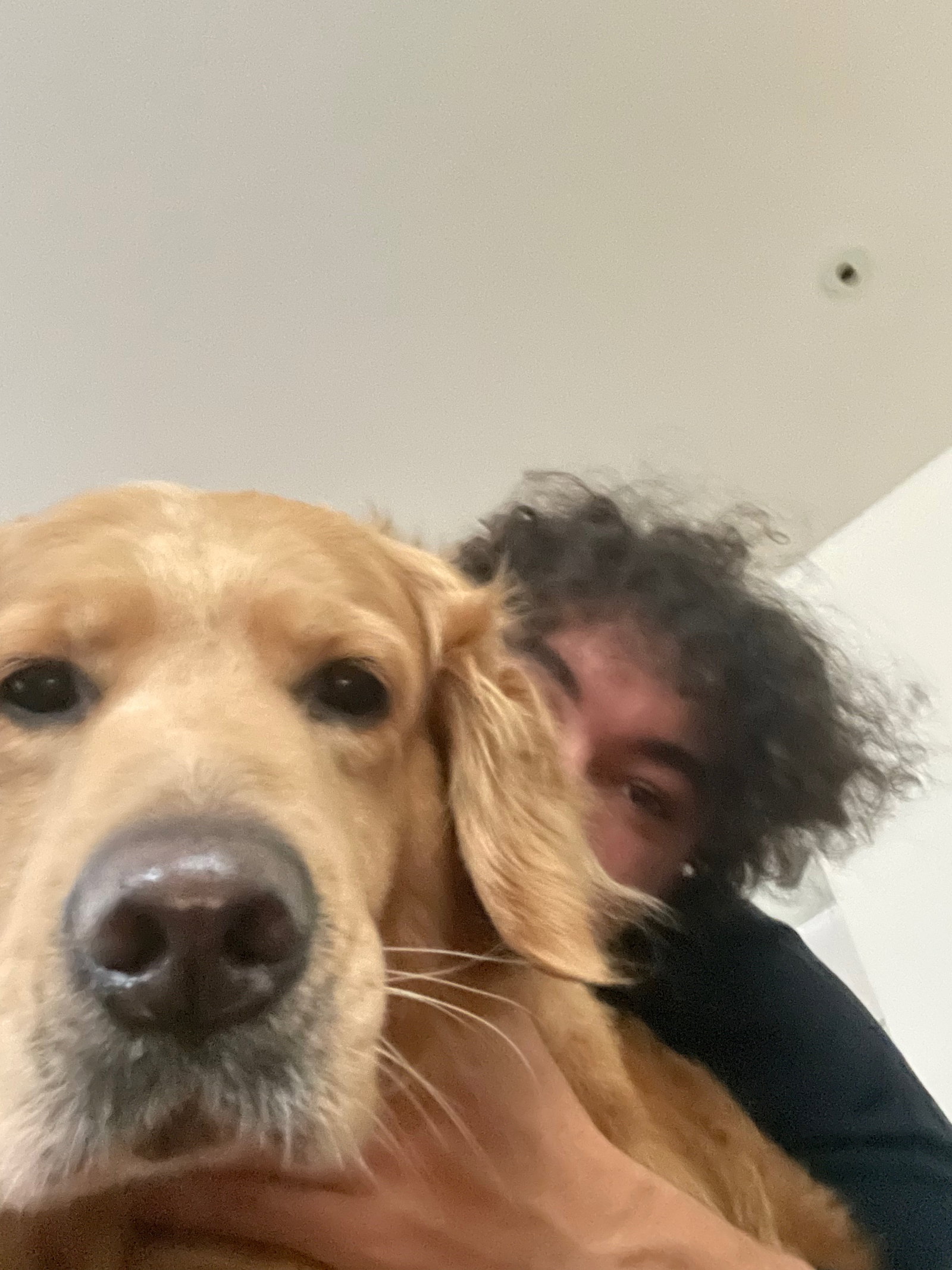 Sietse, pet sitter in Rotterdam, photo 1