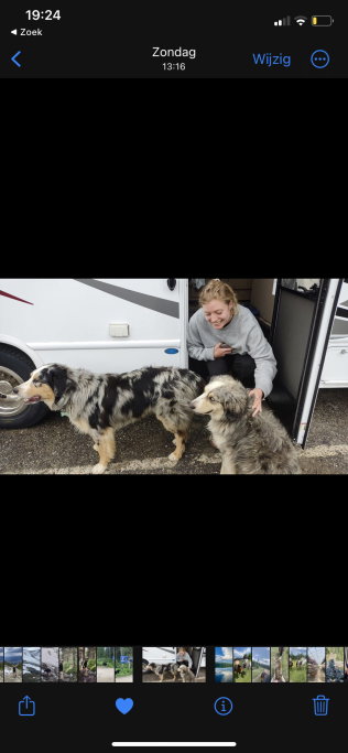 Lieke, pet sitter in Utrecht, photo 3