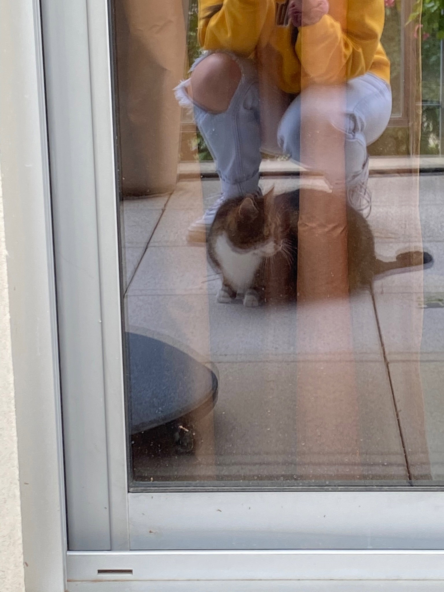 Elisa, pet sitter in groningen, photo 3