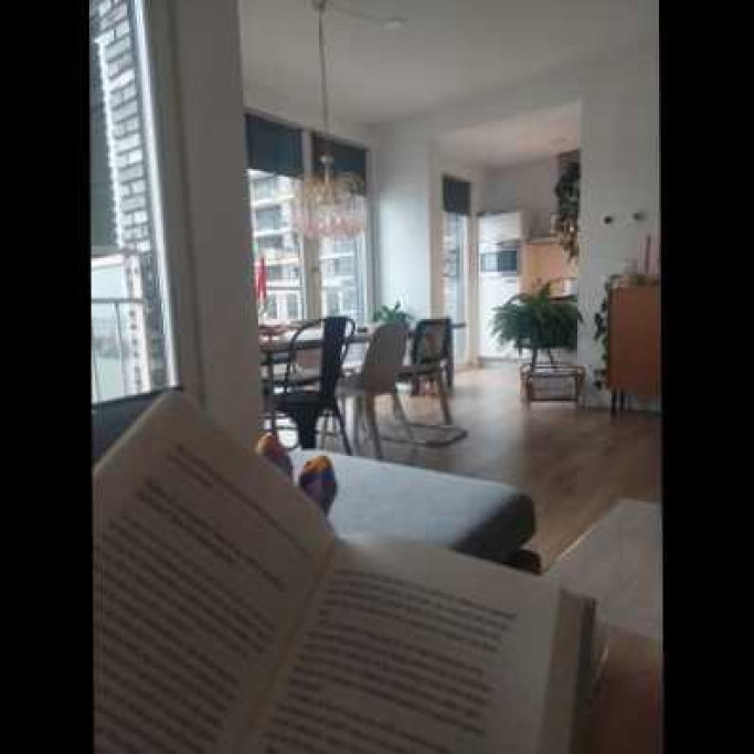 lotte, pet sitter in Nijmegen, photo 1