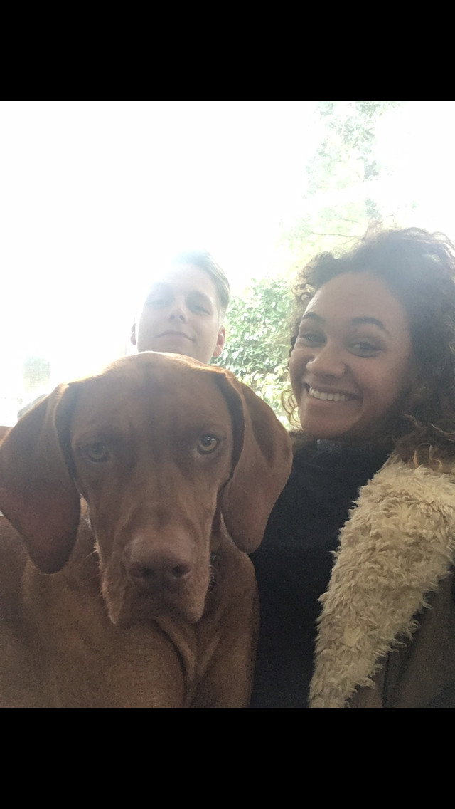 Nienke, pet sitter in 's-Gravenhage, photo 5