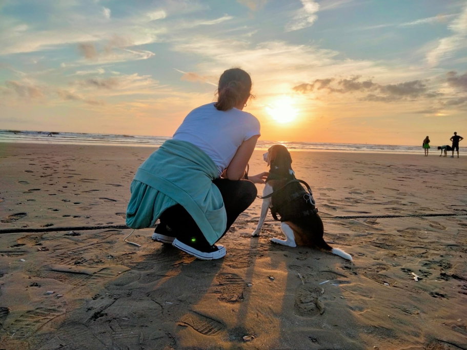 Jolene, pet sitter in Meijel, photo 5