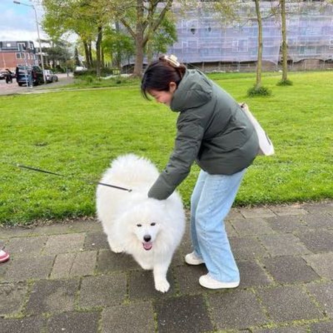 Ying, pet sitter in 's-Gravenhage, photo 5