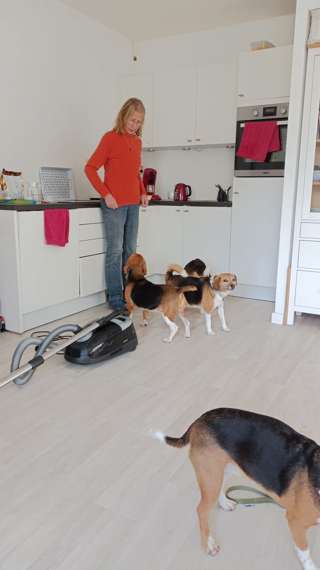 Jolande, pet sitter in Alkmaar, photo 2