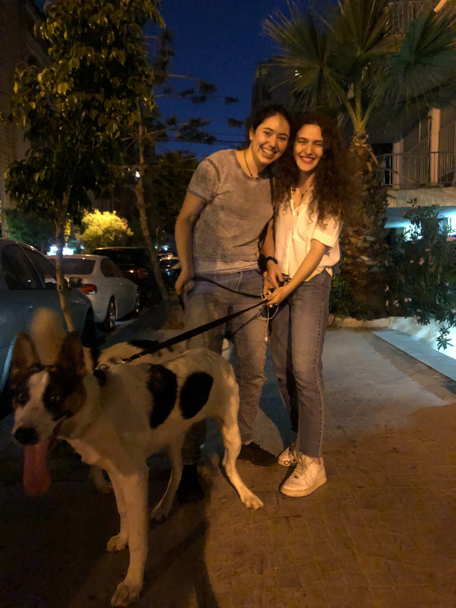 Yara, pet sitter in Amsterdam, photo 2