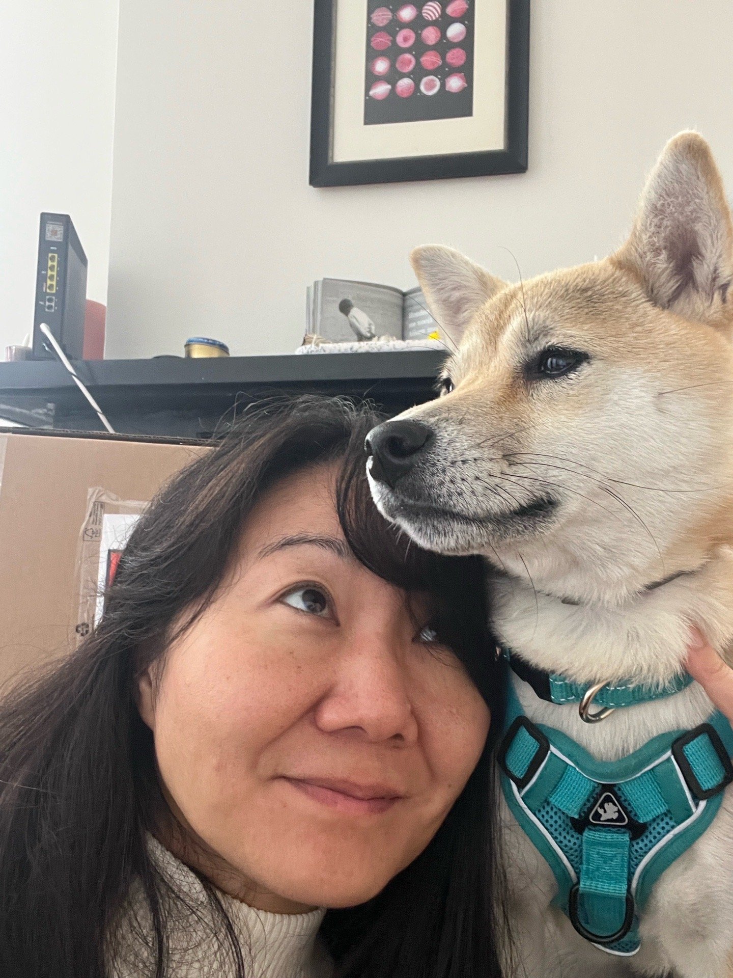 Tomomi, pet sitter in Den Haag, photo 5
