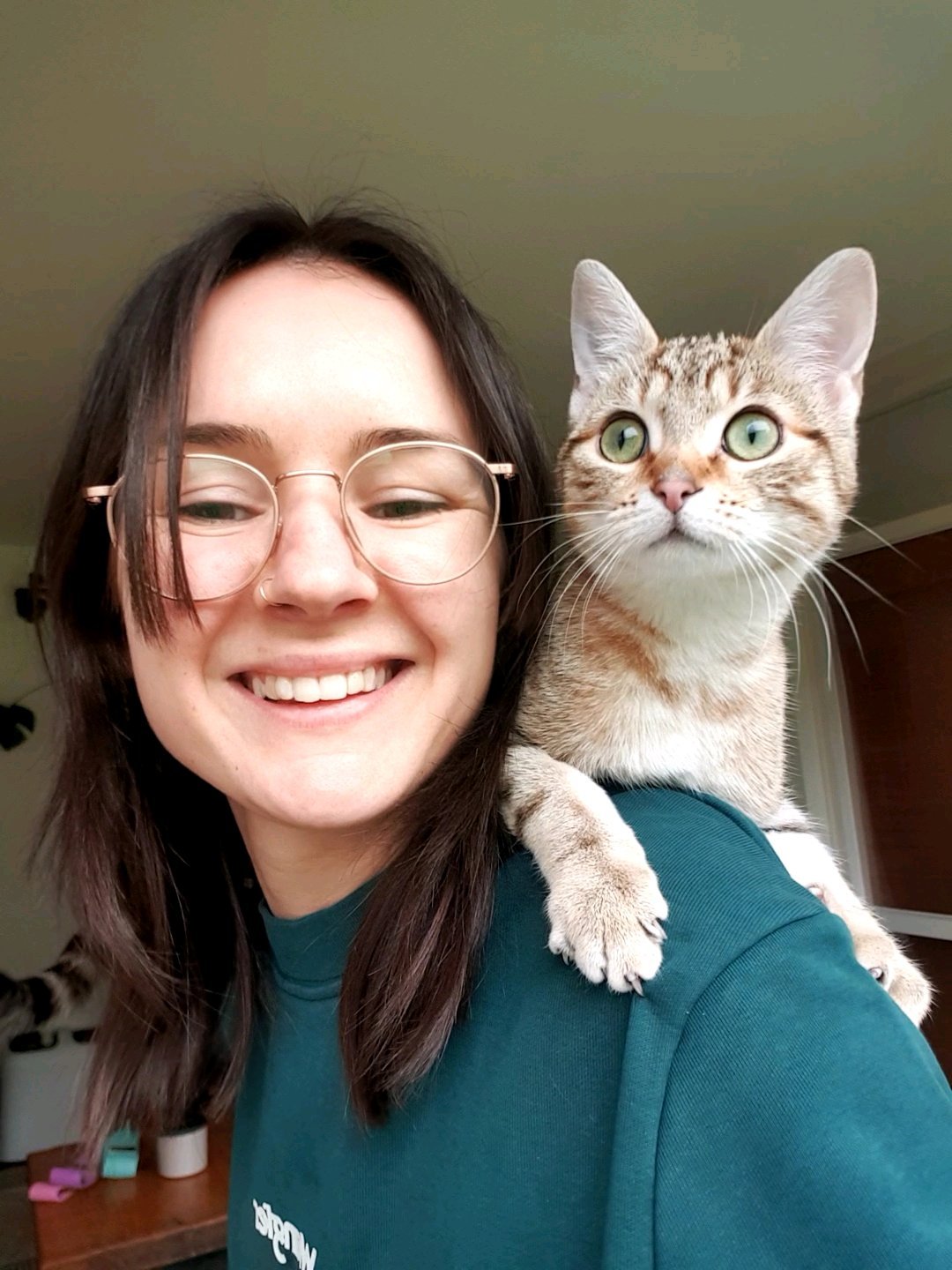 Pien, pet sitter in Delft, photo 4