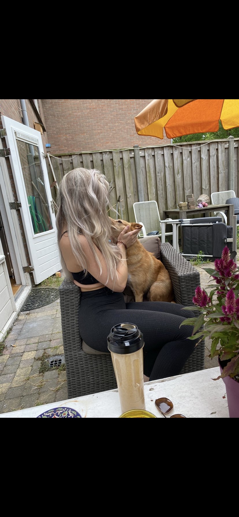 Lanou, pet sitter in Amsterdam, photo 3