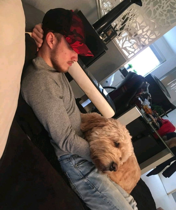 Levi, pet sitter in Nijmegen, photo 3