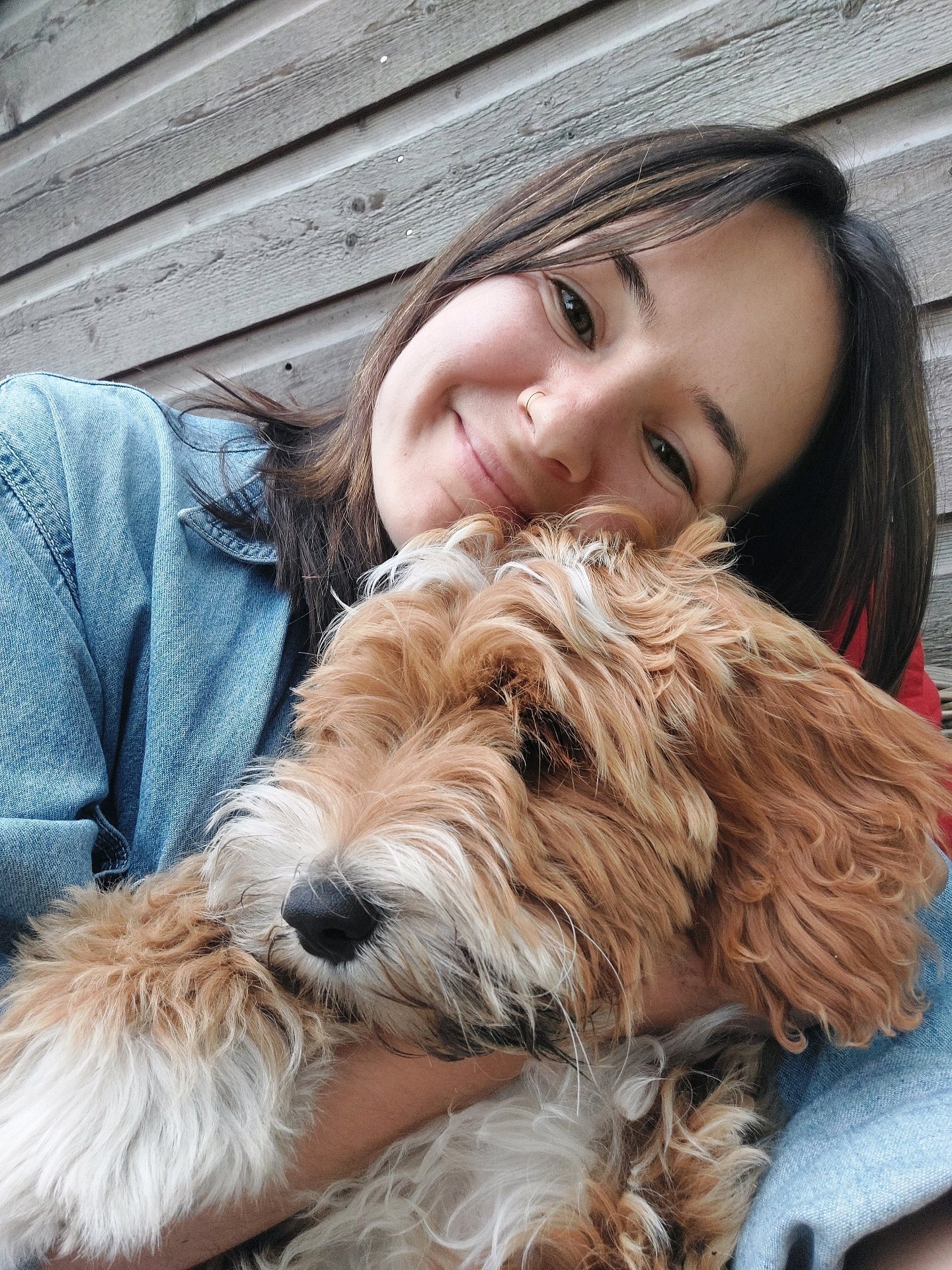 Pien, pet sitter in Delft, photo 3