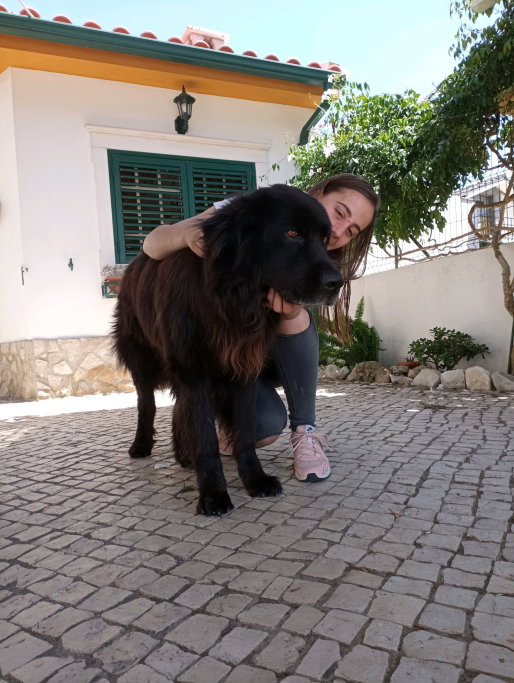 Angela, pet sitter in Zoetermeer, photo 1