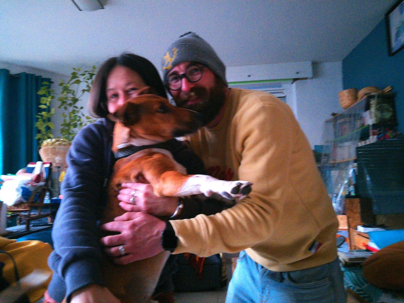 Fey, dierenoppas in Auderghem, foto 3