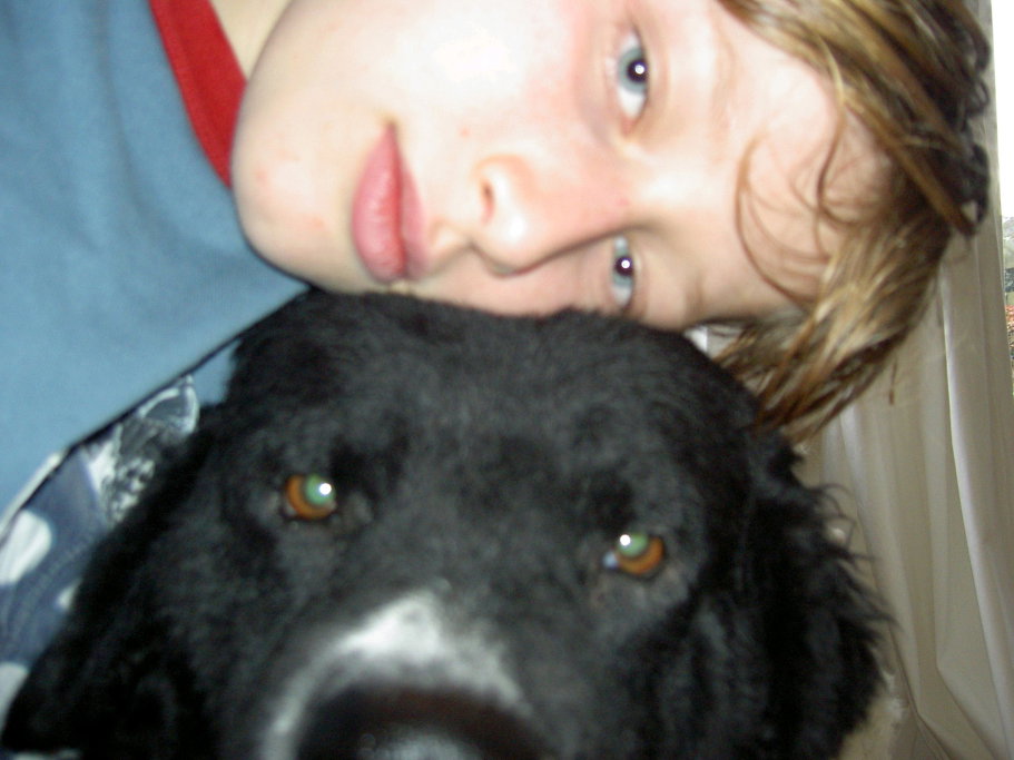 Quinten, pet sitter in Voorburg, photo 3