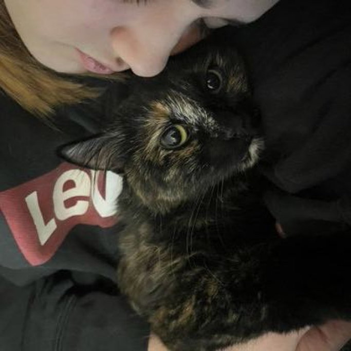ceren, pet sitter in Amstelveen, photo 2