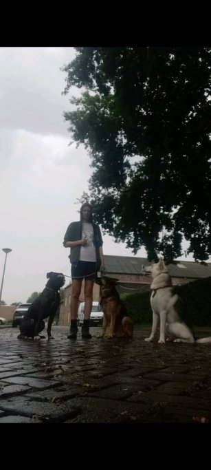 Flora, pet sitter in Heerlen, photo 1