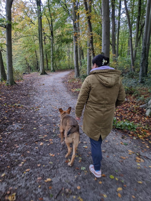 Ying, pet sitter in Voorburg, photo 1