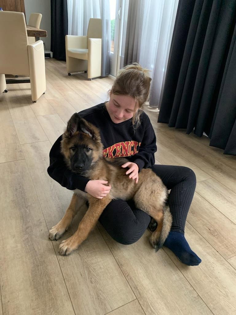 Fleur, pet sitter in Tilburg, photo 5