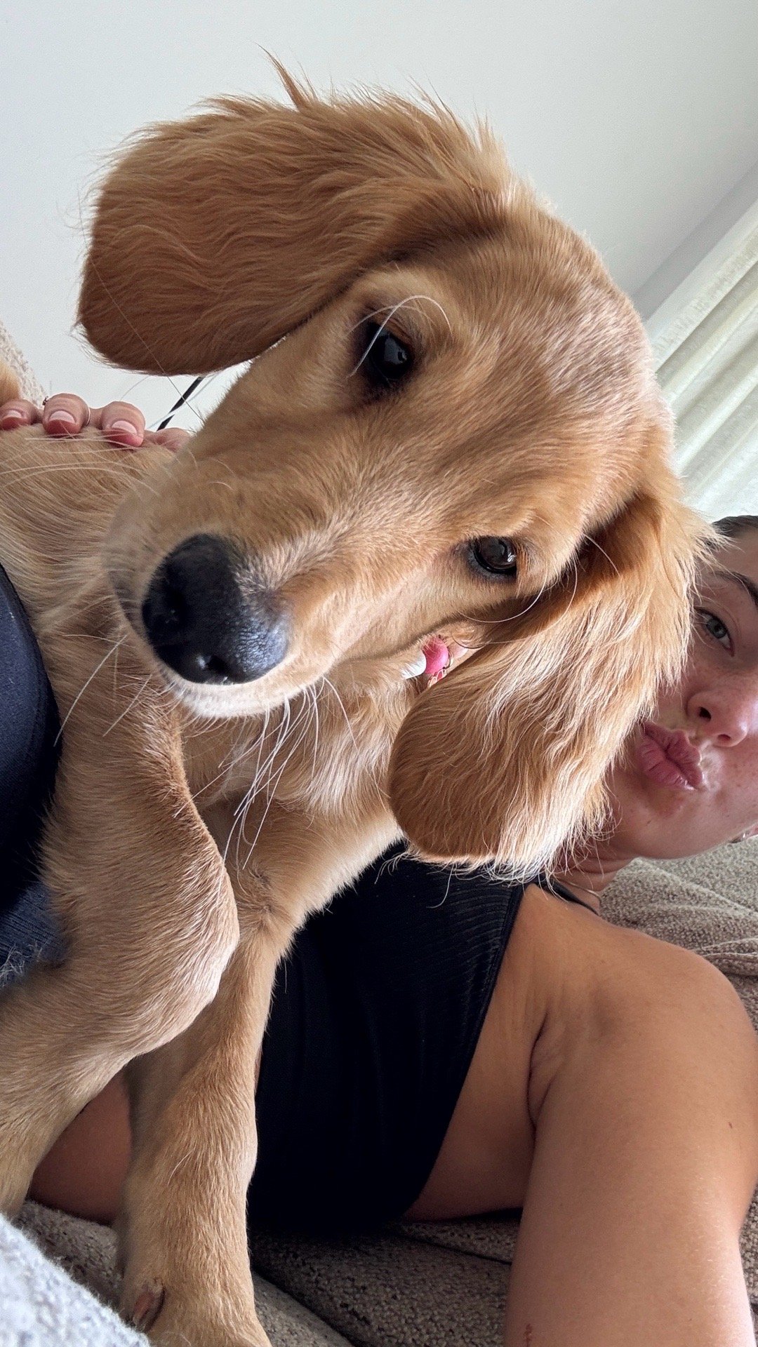 Barbara, pet sitter in Amsterdam, photo 1