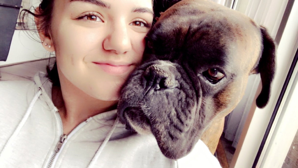 Faritsa, pet sitter in Zwijndrecht, photo 3