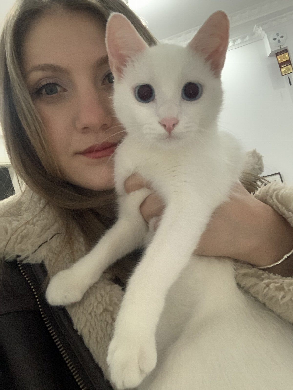 Ayşe, pet sitter in Amsterdam, photo 3