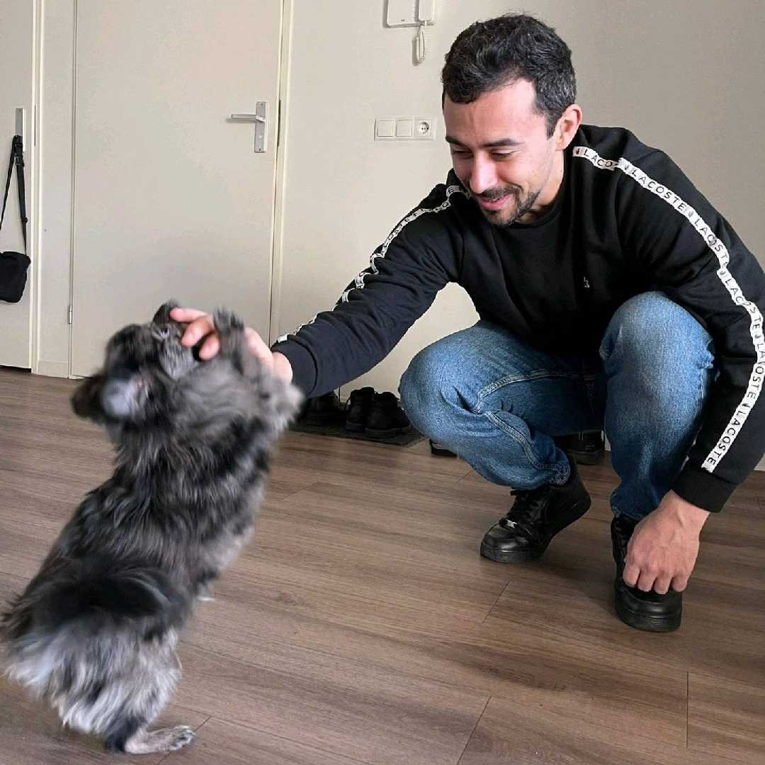 Monika and Francisco, pet sitter in 's-Hertogenbosch, photo 5