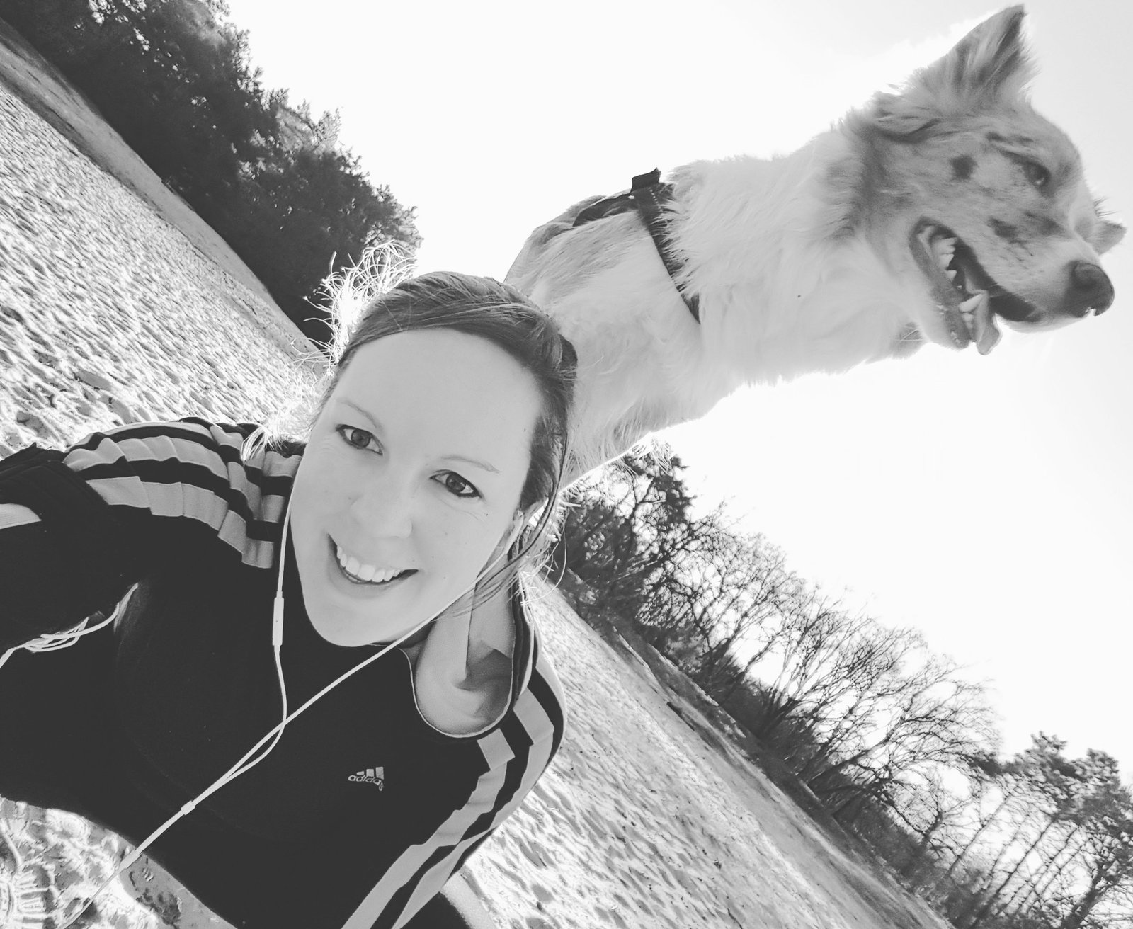 Joyce, pet sitter in Aarle-Rixtel, photo 1