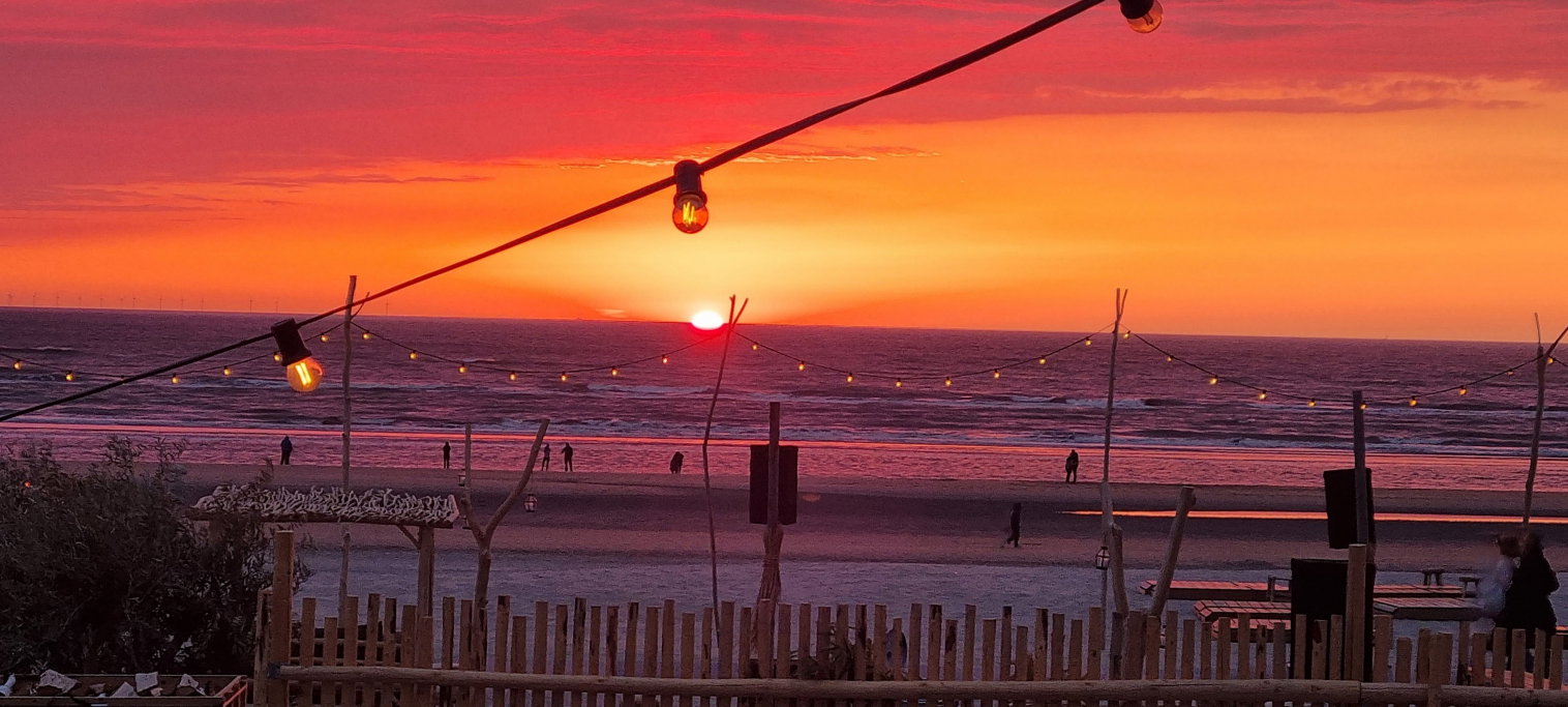 Do, pet sitter in Zandvoort, photo 4