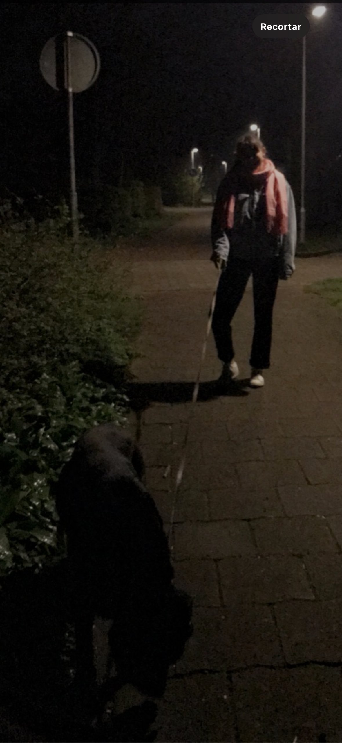 Sophie, dierenoppas in Amsterdam, foto 1
