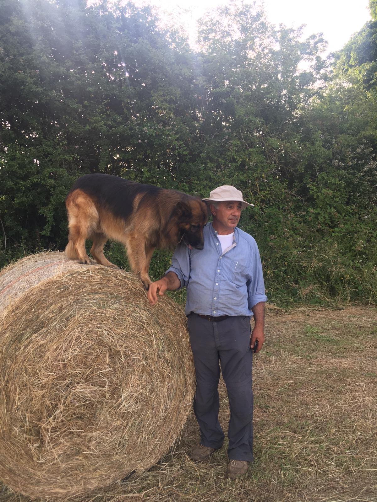 Gretta, pet sitter in Amsterdam, photo 1