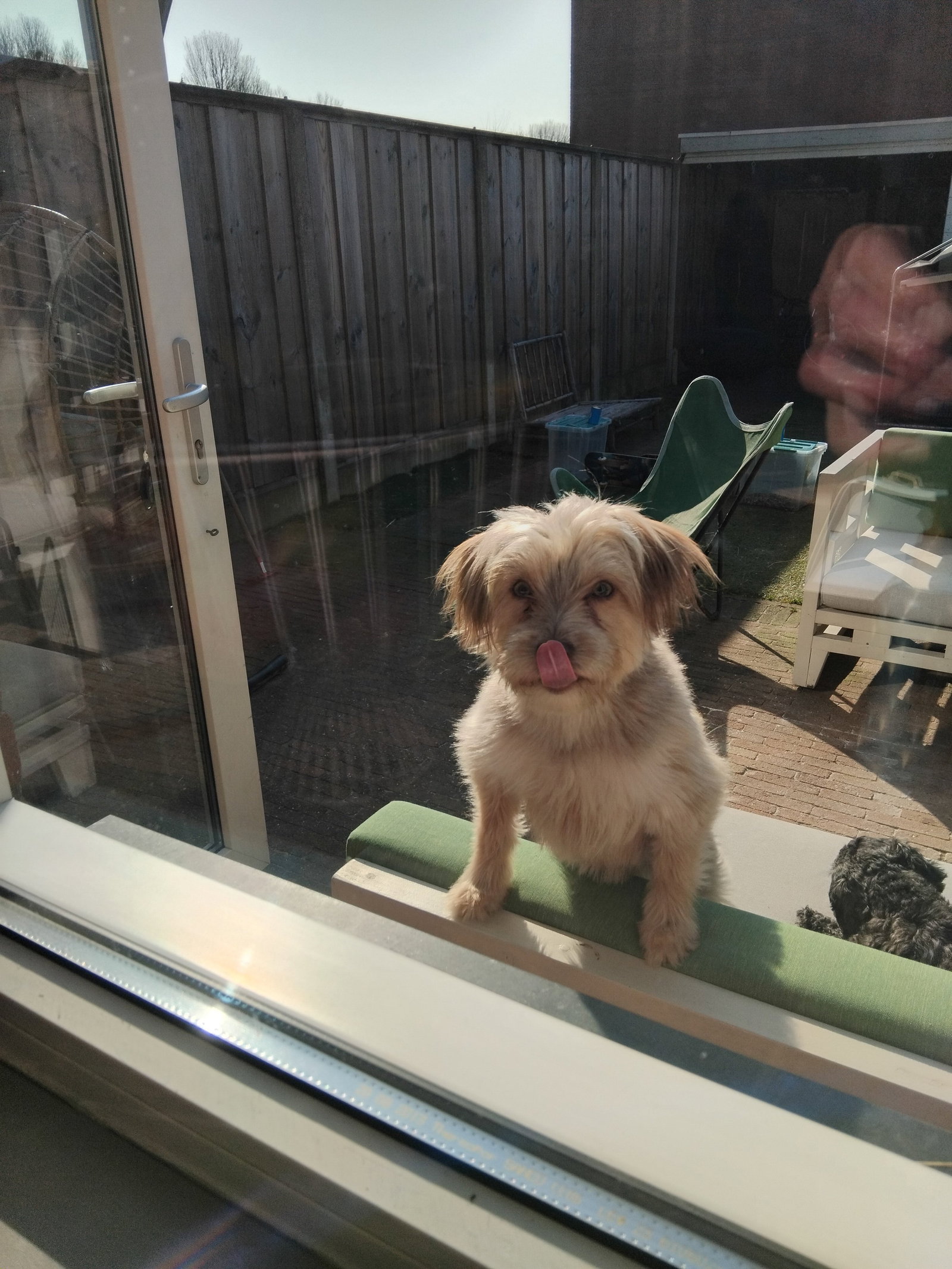 Martine, pet sitter in Roosendaal, photo 3