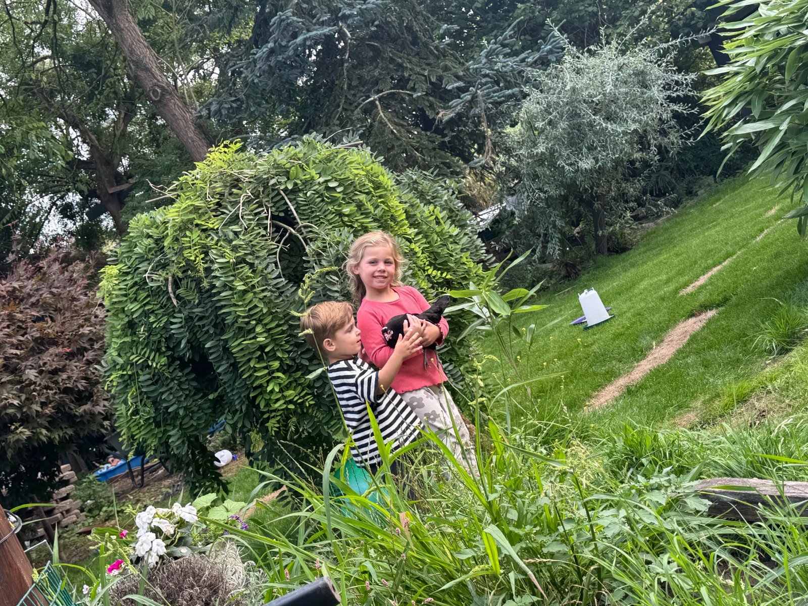 Yael, pet sitter in Gouderak, photo 5