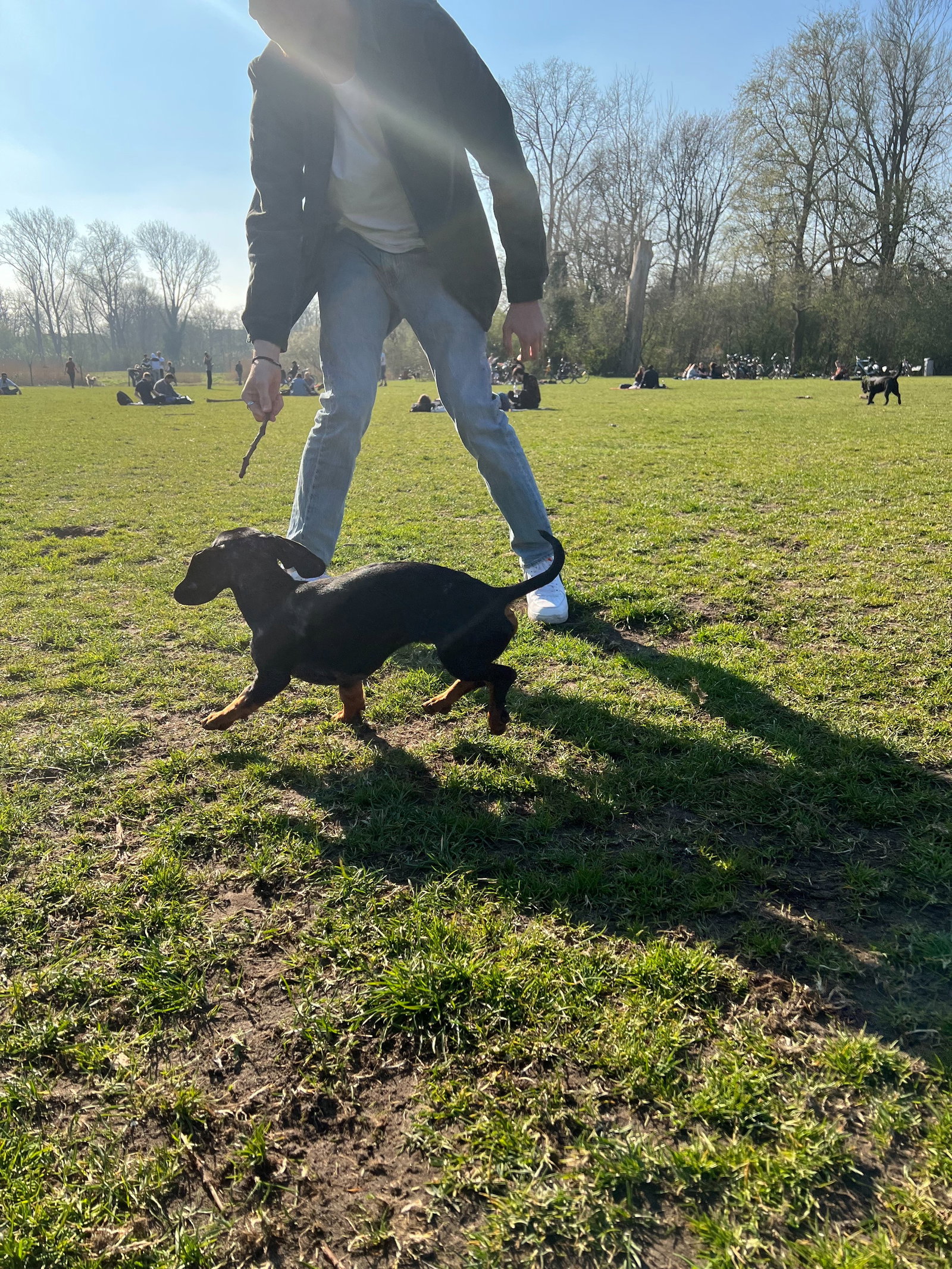 Sarah, pet sitter in Amsterdam, photo 4