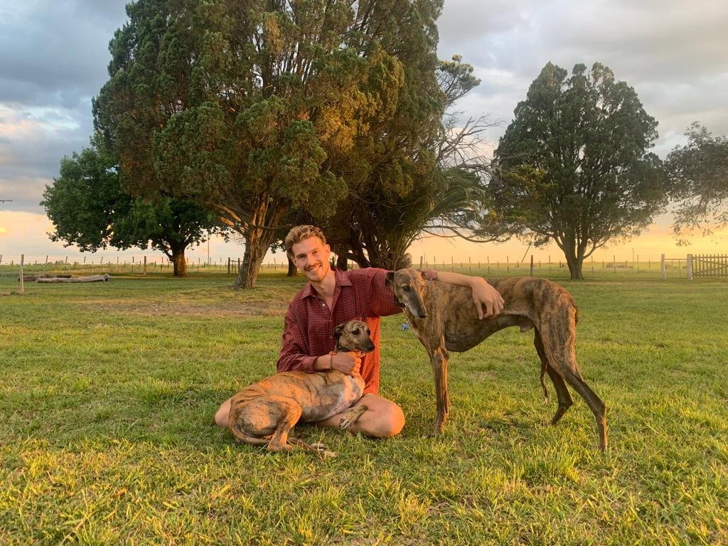 Jerónimo, pet sitter in Rotterdam, photo 1